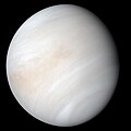Venus (14")